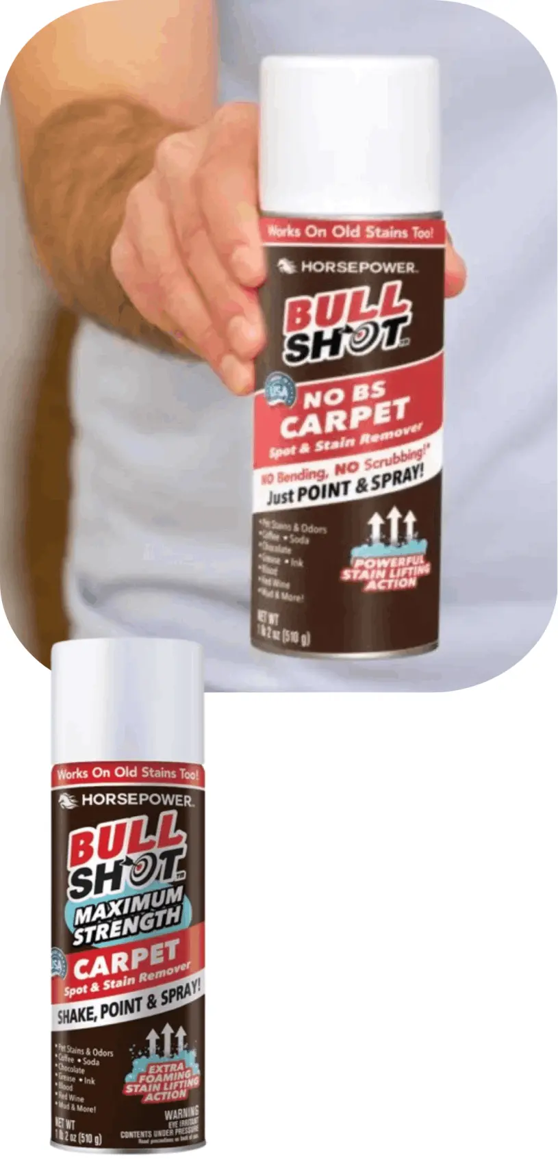 Horsepower Bullshot 9